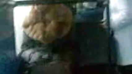 گھوڑے کے پاس ایک گرل فرینڈ فیلم سکسی جدید پورن ہے جو بالکل نرم گدی میں ہے۔