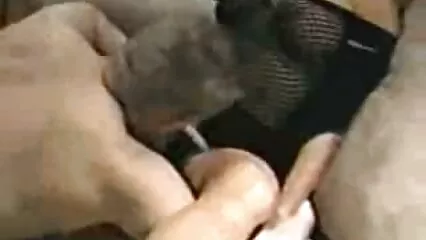 یار لمبے بالوں والے آدمی کی طرف دانلود فیلم سکسی جدید الکسیس تگزاس سے بغیر مونڈنے والی بلی میں چدائی۔